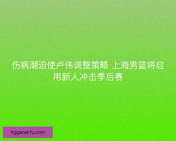 伤病潮迫使卢伟调整策略 上海男篮将启用新人冲击季后赛